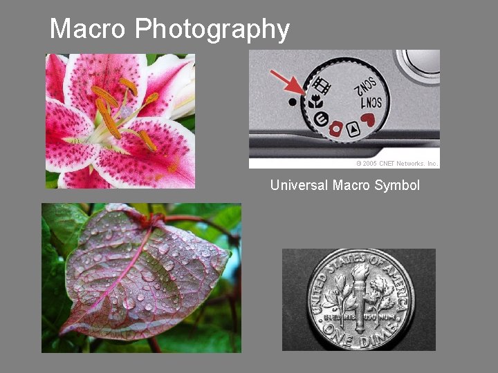 Macro Photography Universal Macro Symbol 
