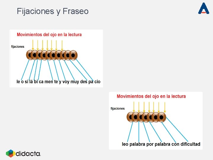 Fijaciones y Fraseo 