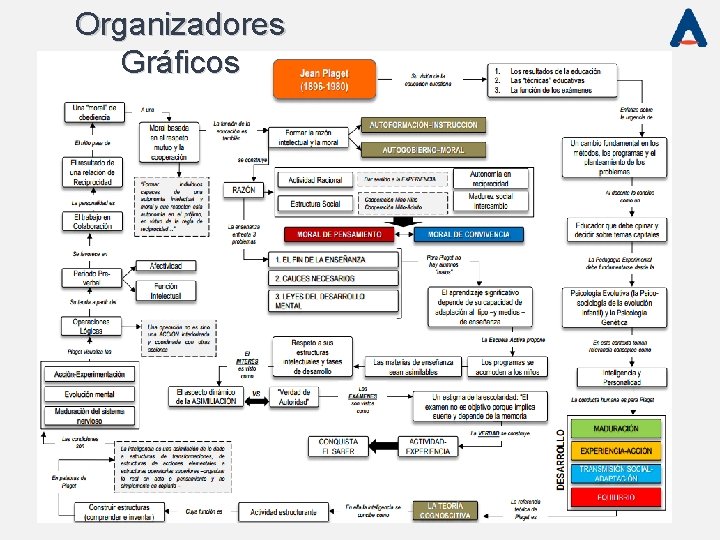 Organizadores Gráficos Organizadores Gráficos