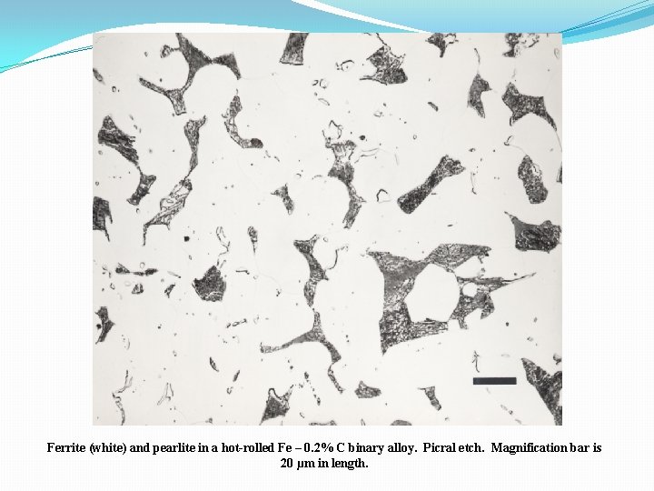 Ferrite (white) and pearlite in a hot-rolled Fe – 0. 2% C binary alloy.