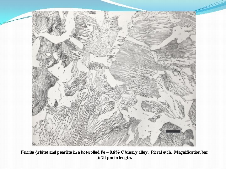 Ferrite (white) and pearlite in a hot-rolled Fe – 0. 6% C binary alloy.