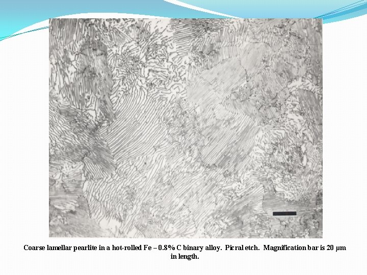 Coarse lamellar pearlite in a hot-rolled Fe – 0. 8% C binary alloy. Picral