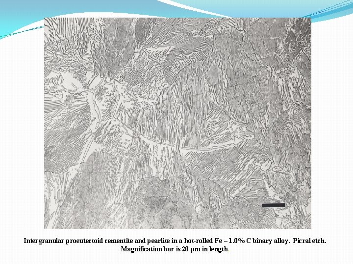 Intergranular proeutectoid cementite and pearlite in a hot-rolled Fe – 1. 0% C binary