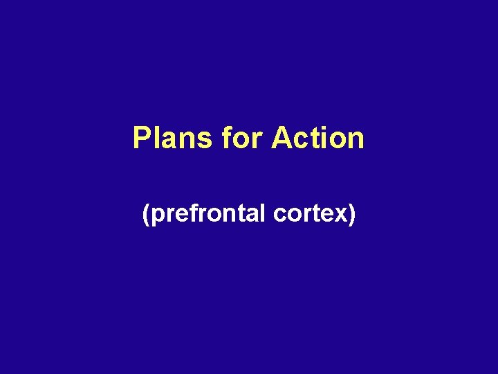 Plans for Action (prefrontal cortex) 