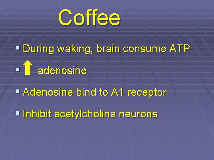 Coffee § During waking, brain consume ATP § adenosine § Adenosine bind to A