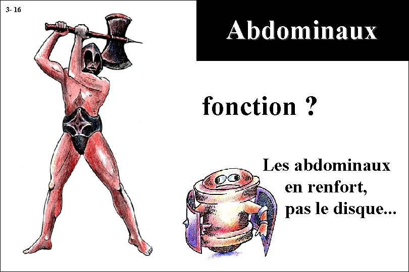 3 - 16 Abdominaux fonction ? Les abdominaux en renfort, pas le disque. .