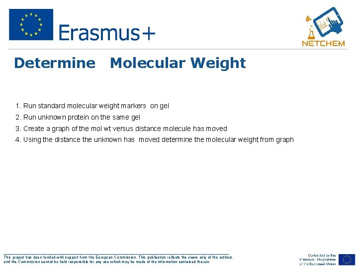 Determine Molecular Weight 1. Run standard molecular weight markers on gel 2. Run unknown