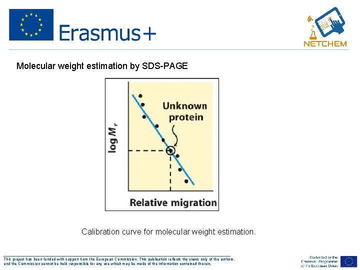 Molecular weight estimation by SDS-PAGE Calibration curve for molecular weight estimation. ___________________________________________________ This project