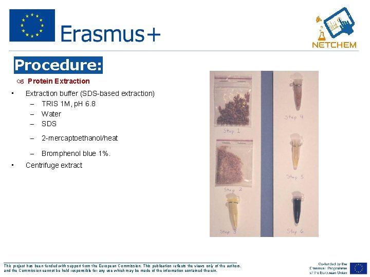 Procedure: Protein Extraction • • Extraction buffer (SDS-based extraction) – TRIS 1 M, p.