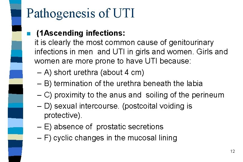 Pathogenesis of UTI n (1 Ascending infections: it is clearly the most common cause