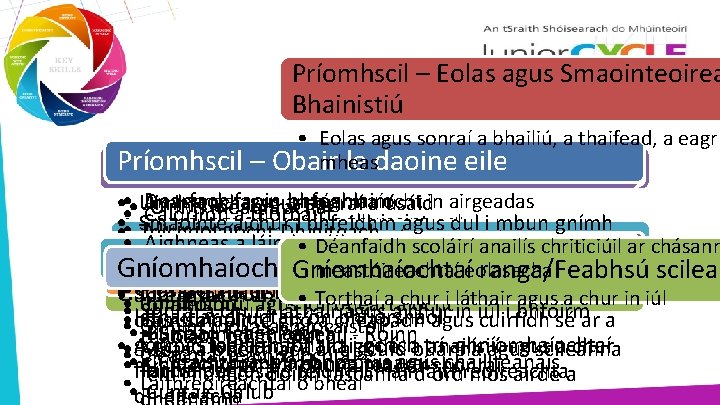 Príomhscil – Eolas agus Smaointeoirea Bhainistiú • Eolas agus sonraí a bhailiú, a thaifead,