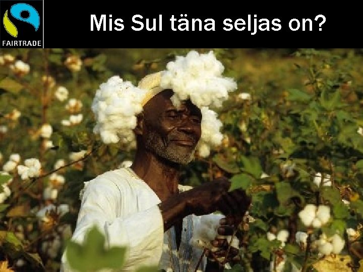 Mis Sul täna seljas on? 