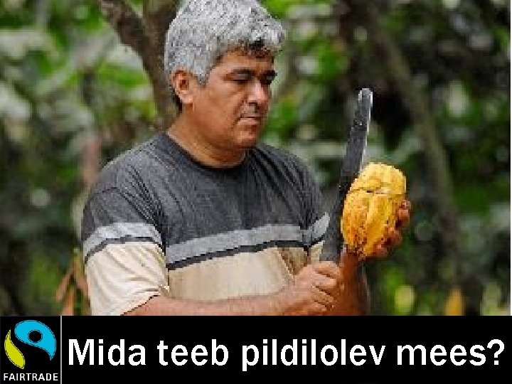 Mida teeb pildilolev mees? 