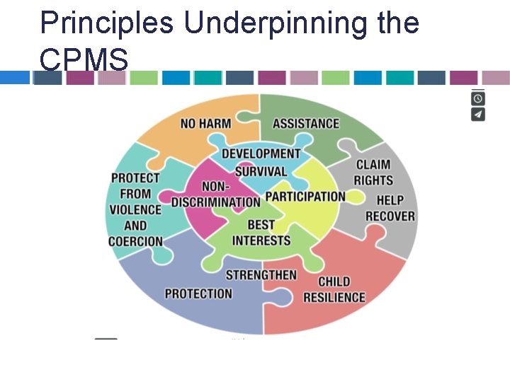 Principles Underpinning the CPMS Principles Underpinning the CPMS