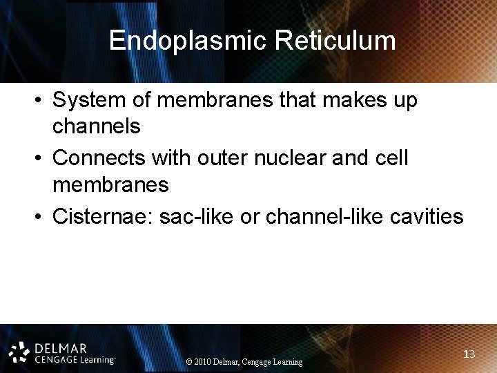 Endoplasmic Reticulum • System of membranes that makes up channels • Connects with outer