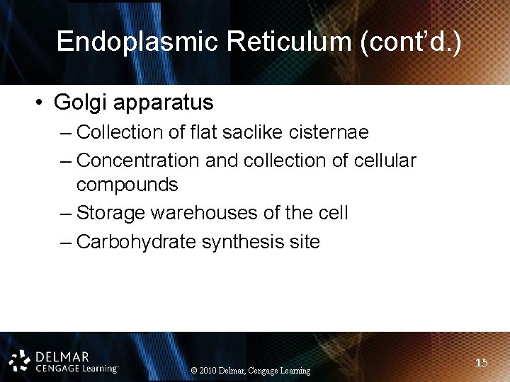 Endoplasmic Reticulum (cont’d. ) • Golgi apparatus – Collection of flat saclike cisternae –