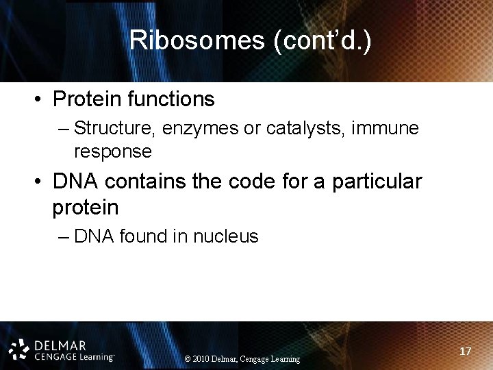 Ribosomes (cont’d. ) • Protein functions – Structure, enzymes or catalysts, immune response •