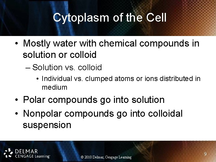 Cytoplasm of the Cell • Mostly water with chemical compounds in solution or colloid