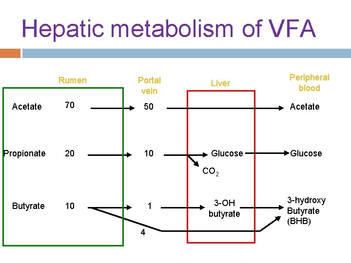 Hepatic metabolism of VFA Rumen Portal vein Acetate 70 50 Propionate 20 10 Liver