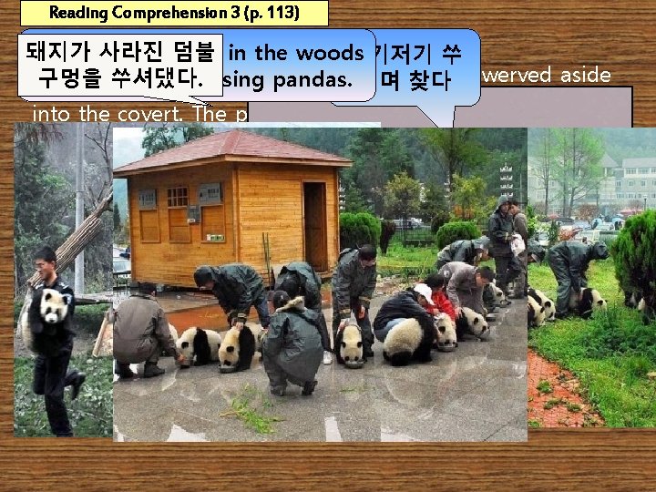 Reading Comprehension 3 (p. 113) 돼지가 사라진about 덤불 in the woods They poked 여기저기