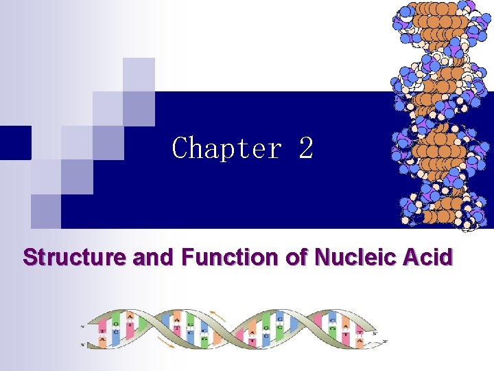 Chapter 2 Structure and Function of Nucleic Acid 