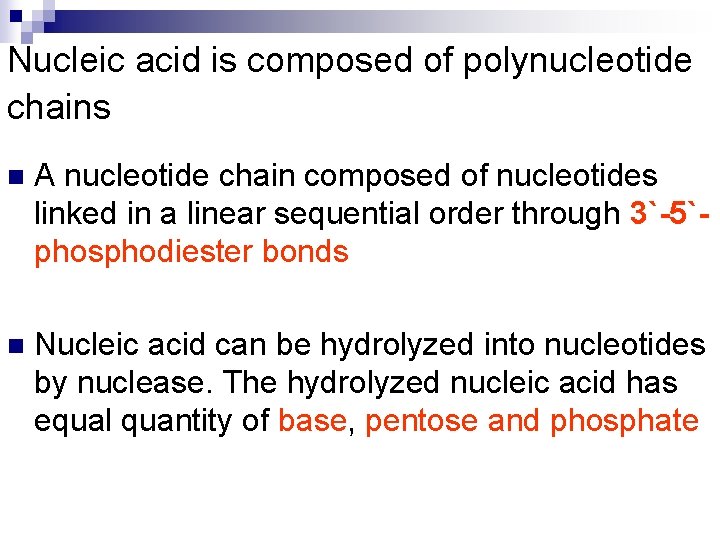 Nucleic acid is composed of polynucleotide chains n A nucleotide chain composed of nucleotides