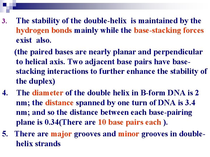 The stability of the double-helix is maintained by the hydrogen bonds mainly while the The stability of the double-helix is maintained by the hydrogen bonds mainly while the
