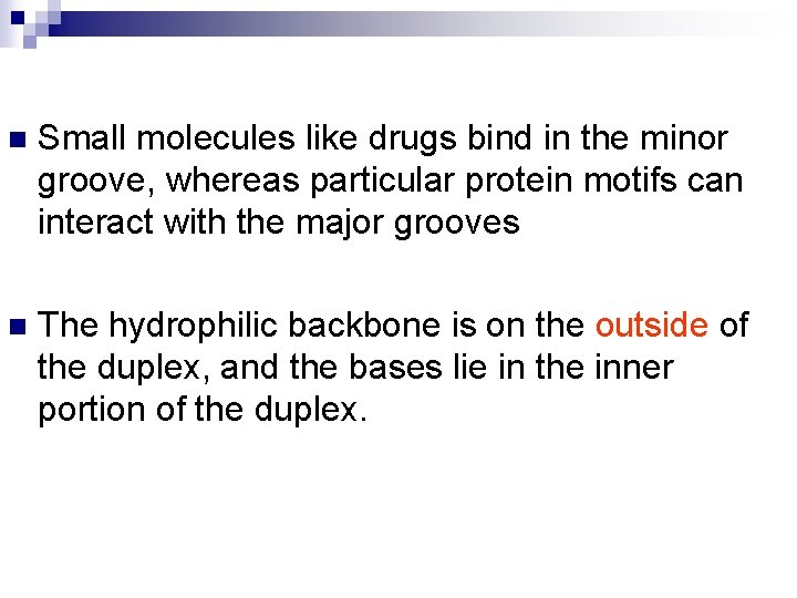 n Small molecules like drugs bind in the minor groove, whereas particular protein motifs