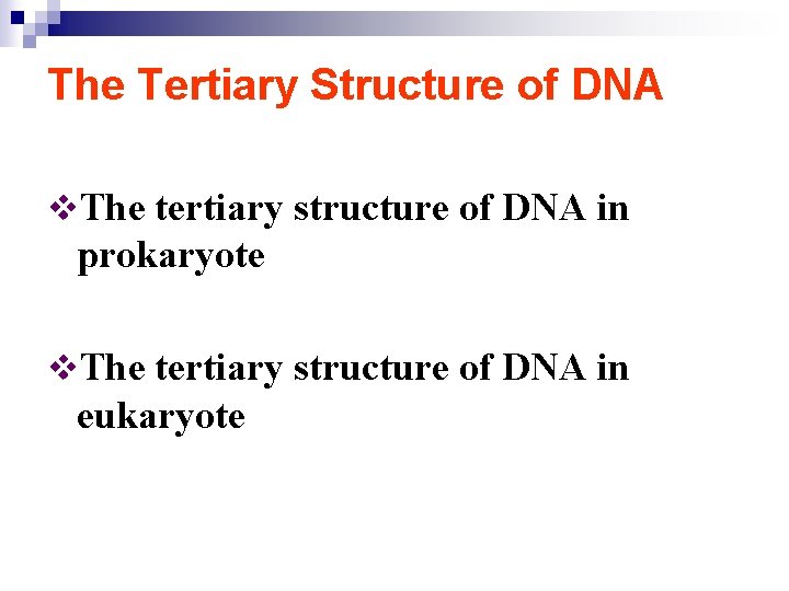 The Tertiary Structure of DNA v. The tertiary structure of DNA in prokaryote v.