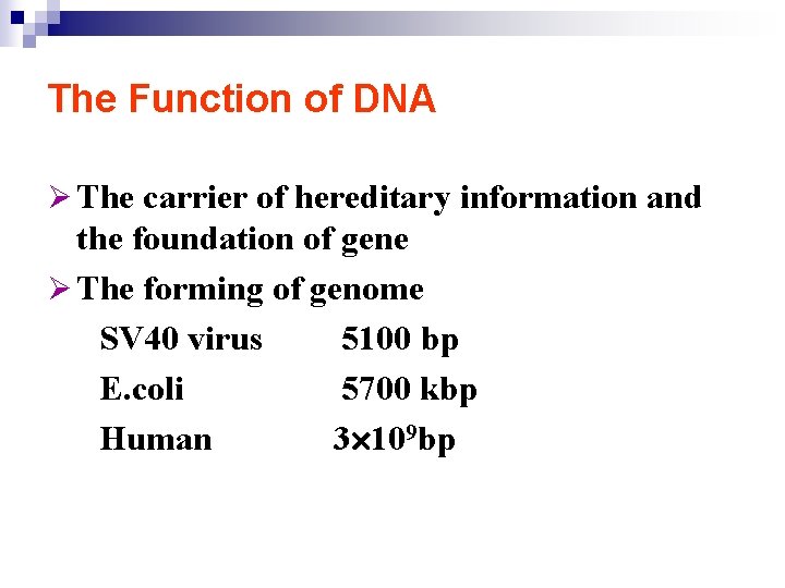 The Function of DNA Ø The carrier of hereditary information and the foundation of