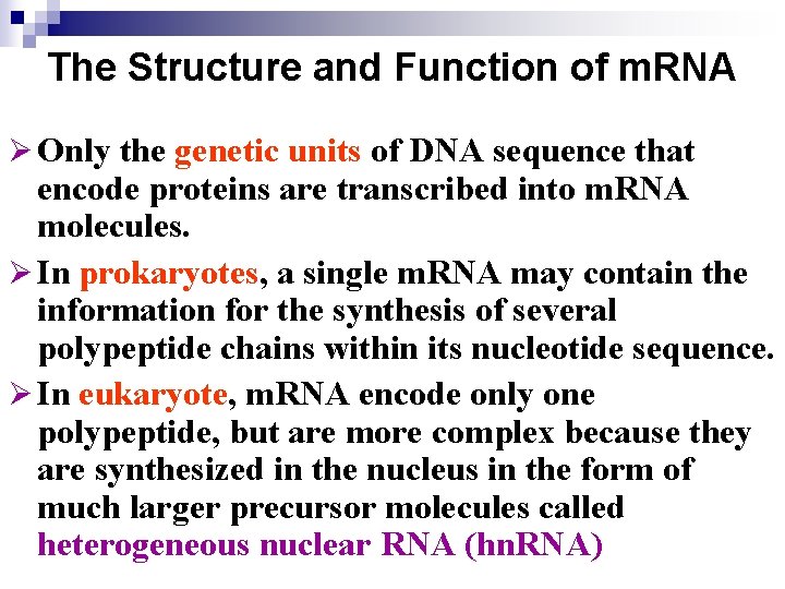 The Structure and Function of m. RNA Ø Only the genetic units of DNA