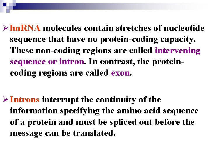 Ø hn. RNA molecules contain stretches of nucleotide sequence that have no protein-coding capacity.
