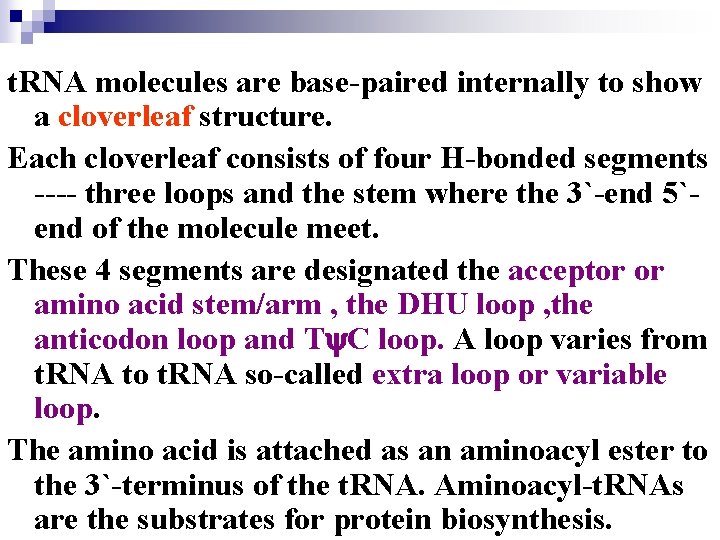 t. RNA molecules are base-paired internally to show a cloverleaf structure. Each cloverleaf consists