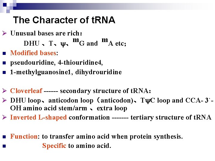 The Character of t. RNA Ø Unusual bases are rich： n n n DHU