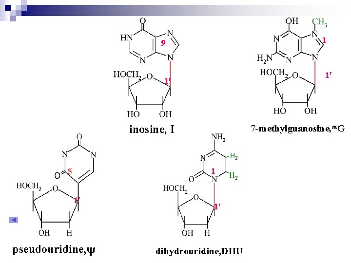 1 9 1 1 inosine, I 7 -methylguanosine, m. G 1 5 1 pseudouridine,