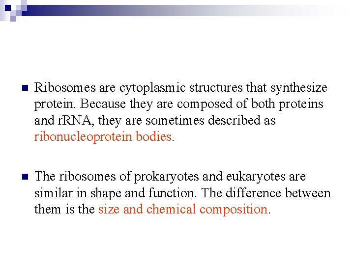 n Ribosomes are cytoplasmic structures that synthesize protein. Because they are composed of both