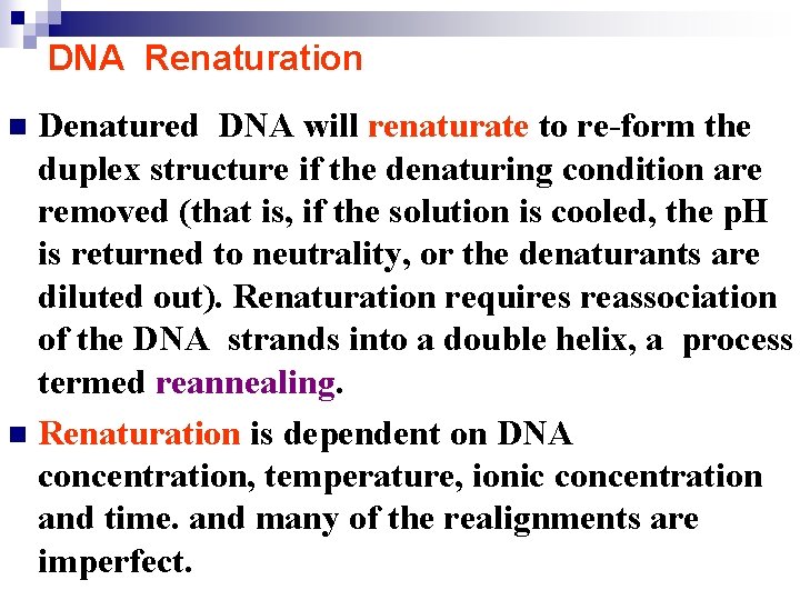 DNA Renaturation Denatured DNA will renaturate to re-form the duplex structure if the denaturing