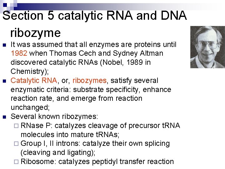 Section 5 catalytic RNA and DNA ribozyme n n n It was assumed that