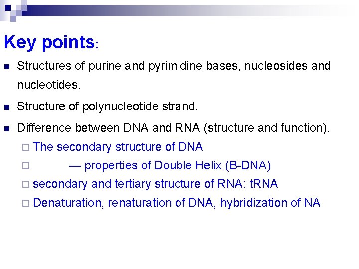 Key points: n Structures of purine and pyrimidine bases, nucleosides and nucleotides. n Structure