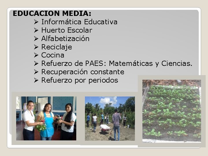 EDUCACION MEDIA: Ø Informática Educativa Ø Huerto Escolar Ø Alfabetización Ø Reciclaje Ø Cocina