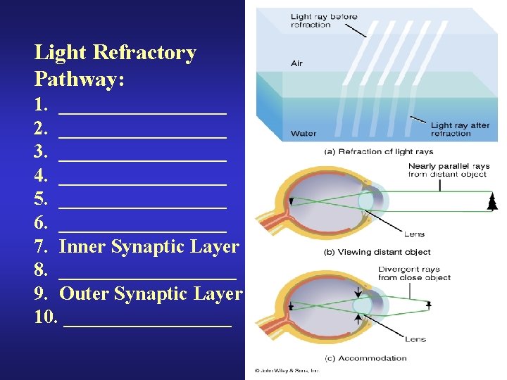 Light Refractory Pathway: 1. _________ 2. _________ 3. _________ 4. _________ 5. _________ 6.