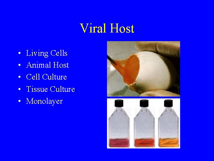 Viral Host • • • Living Cells Animal Host Cell Culture Tissue Culture Monolayer