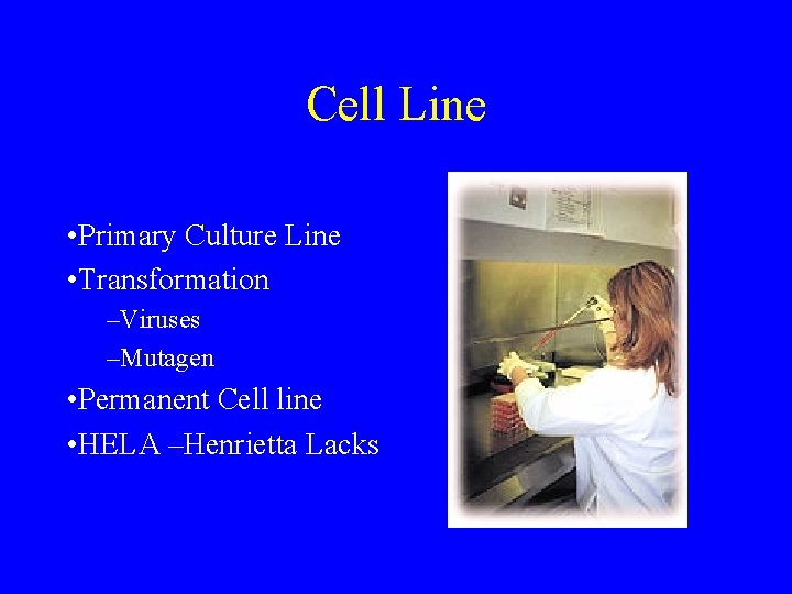 Cell Line • Primary Culture Line • Transformation –Viruses –Mutagen • Permanent Cell line