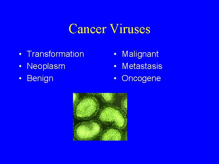 Cancer Viruses • Transformation • Neoplasm • Benign • Malignant • Metastasis • Oncogene