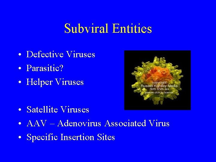 Subviral Entities • Defective Viruses • Parasitic? • Helper Viruses • Satellite Viruses •