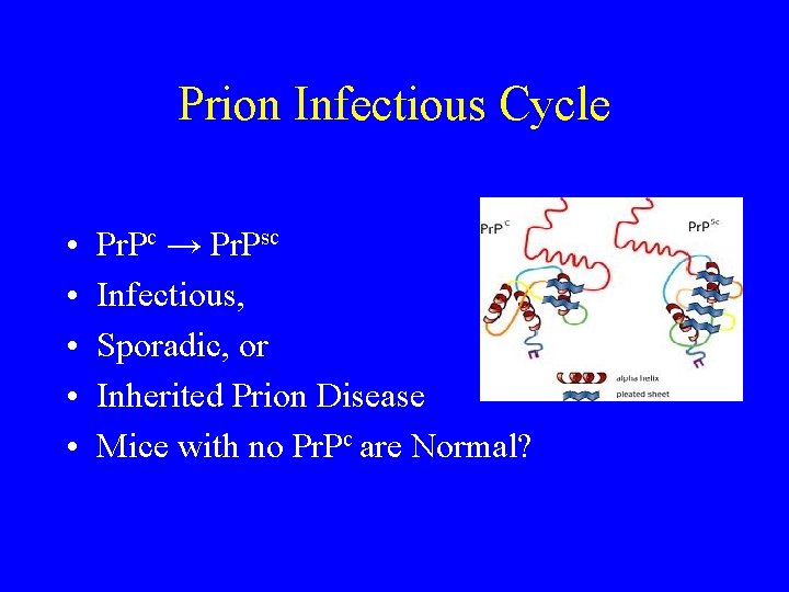 Prion Infectious Cycle • • • Pr. Pc → Pr. Psc Infectious, Sporadic, or