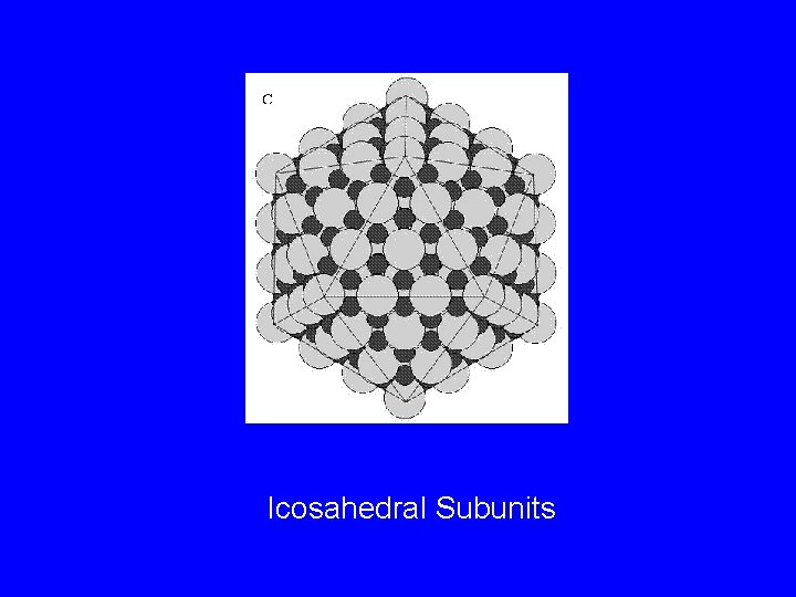 Icosahedral Subunits 