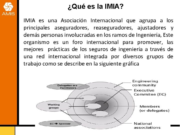 ¿Qué es la IMIA? IMIA es una Asociación Internacional que agrupa a los principales