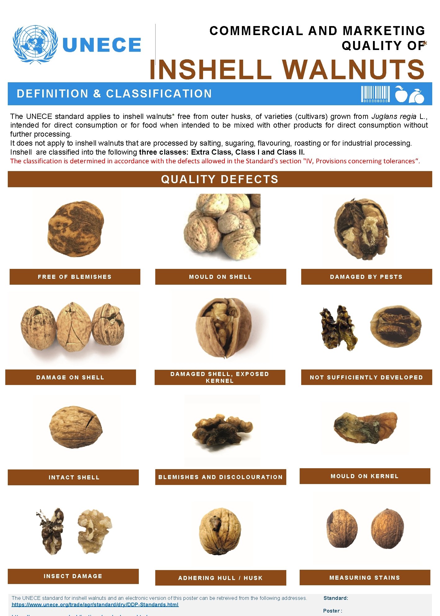COMMERCIAL AND MARKETING QUALITY OF* INSHELL WALNUTS DEFINITION & CLASSIFICATION The UNECE standard applies
