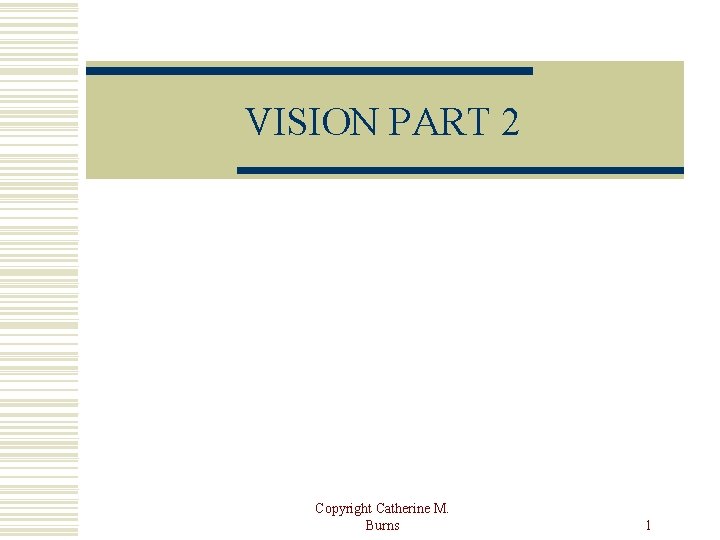VISION PART 2 Copyright Catherine M. Burns 1 